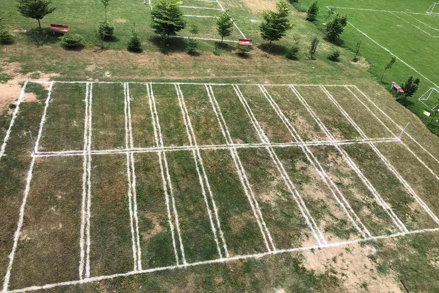 Playground 2