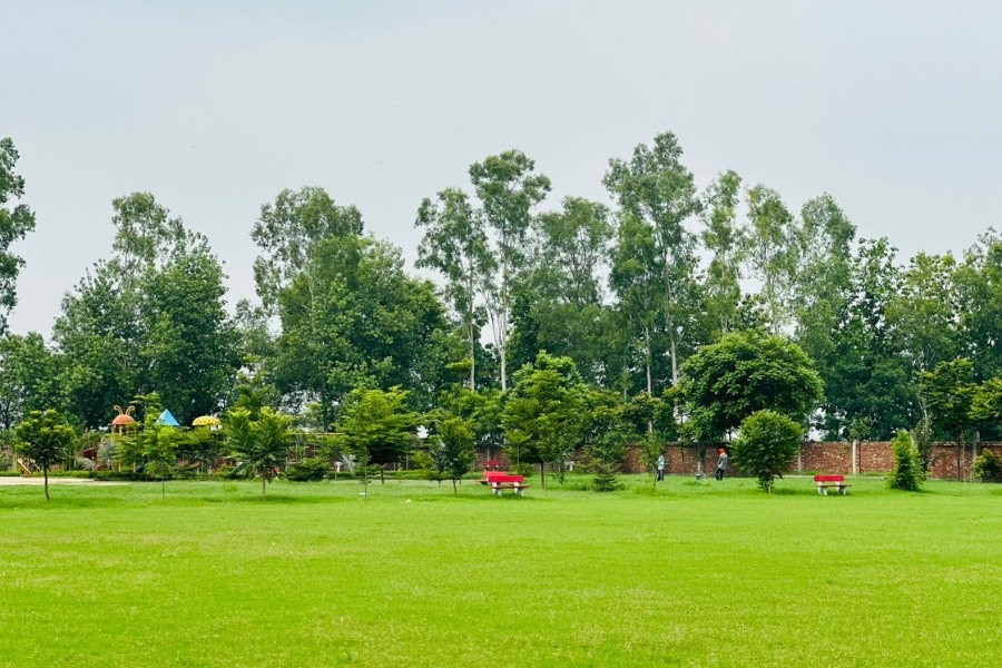 Playground
